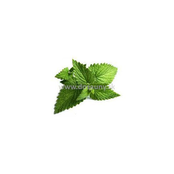 356414 - RBM - Mentha Arvensis.jpg