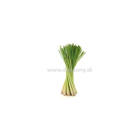 359405 - RBM - Cymbopogon Citratus.jpg