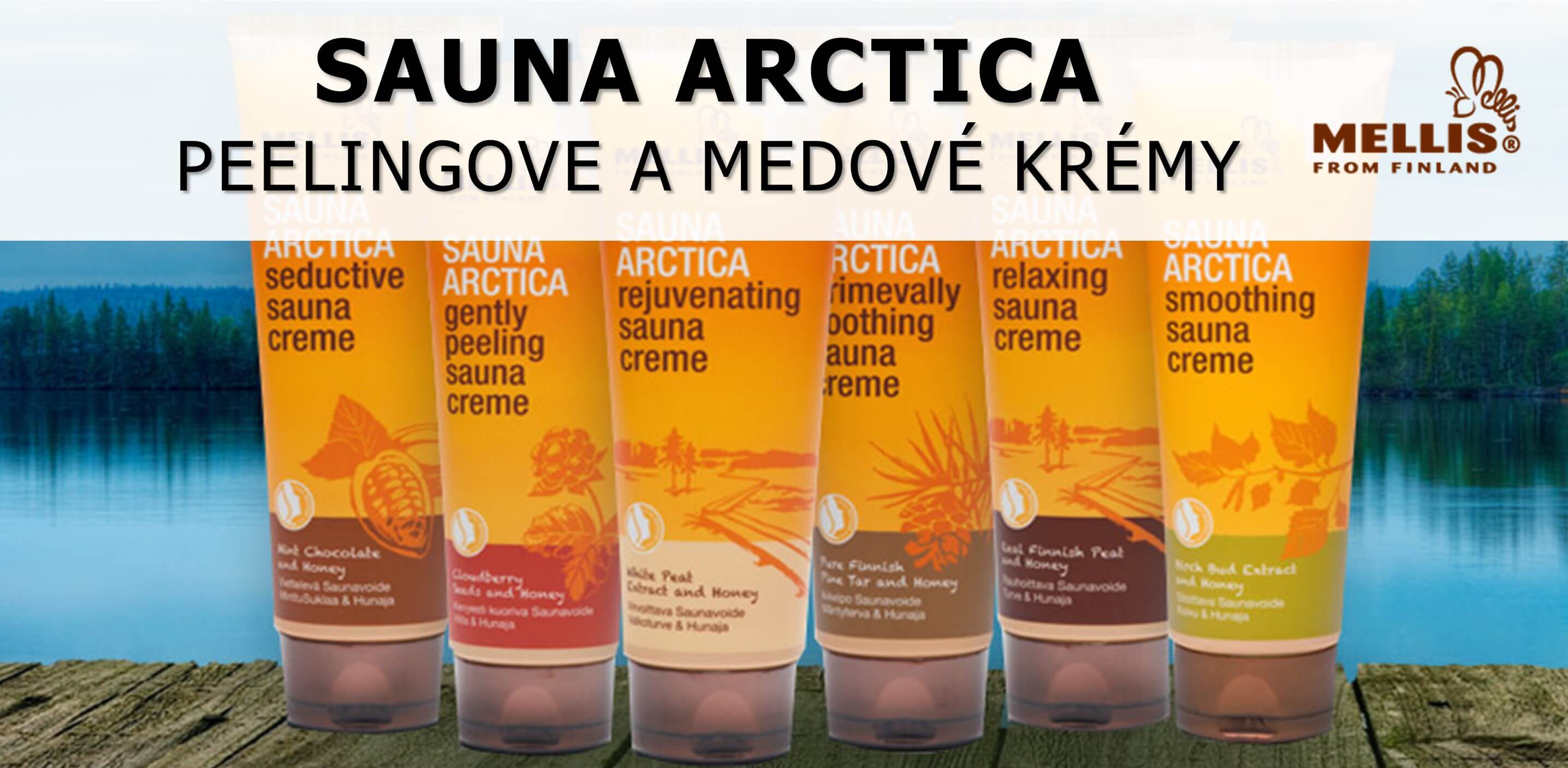 Sauna Arctica